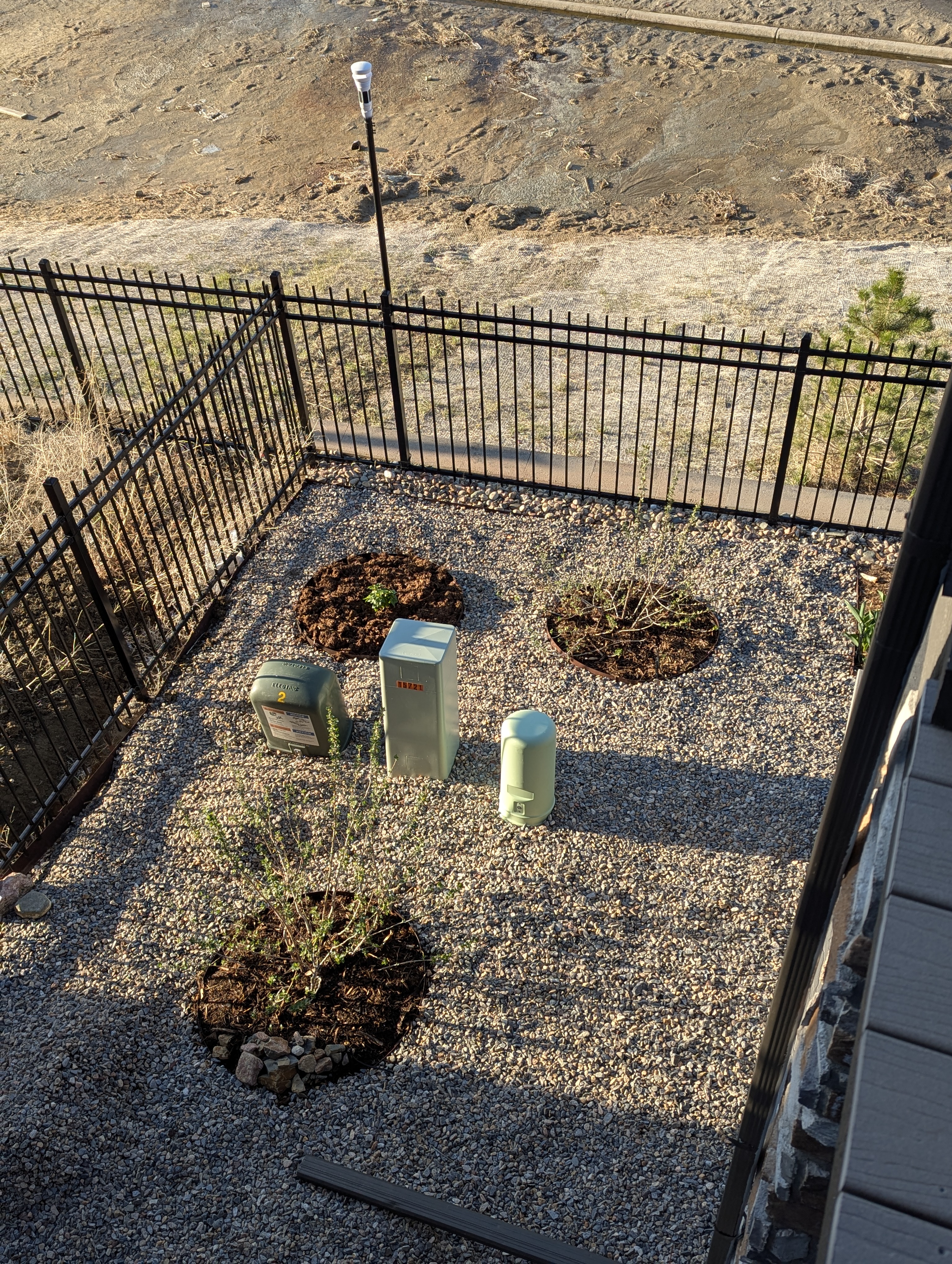 Garden, Flowers, Morrison, Colorado